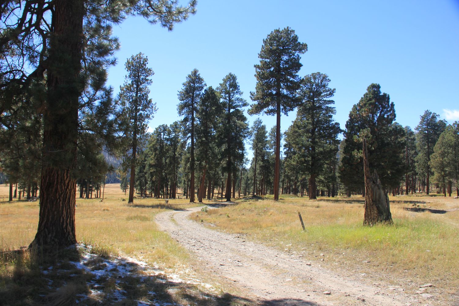 Valles Caldera National Preserve 